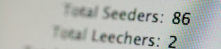 Should you get a seedbox for your bittorrent needs? Should you get a seedbox for your bittorrent needs?